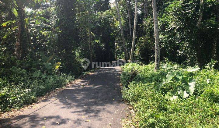 PASTI DEAL DI JUAL TANAH LOSS SUNGAI VIEW SAWAH LOKASI KENDERAN TEGALLALANG UBUD GIANYAR
 1