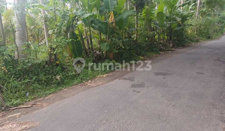 Pasti Closing Di Jual Tanah Lokasi Ped Nusa Penida Klungkung 