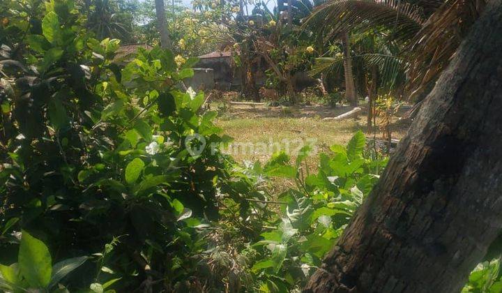 ZOZOZOZO PASTI DING DI JUAL TANAH LOKASI SABA BLAHBATUH GIANYAR 2