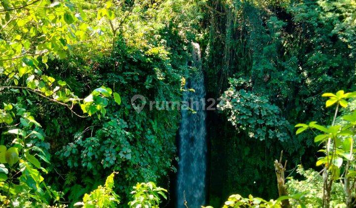 SURE DEAL IN LAND FOR SALE LOCATION SUMAMPAN SUKAWATI GIANYAR 1