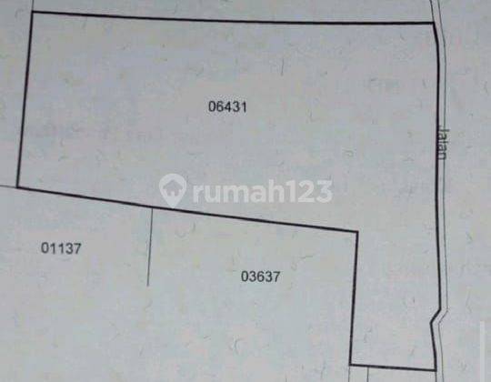 DEFINITELY DEAL FOR SALE LAND LOCATION LODTUNDUH UBUD GIANYAR 1