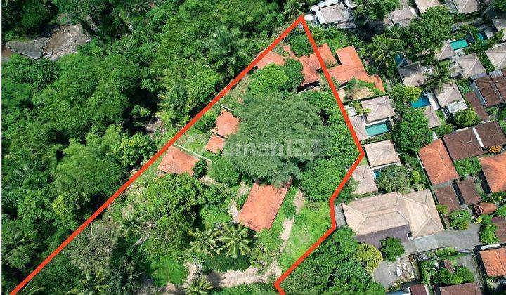 Tanah SHM Seluas 5.950 m² Di Ubud Zona Pariwisata View Sungai 1