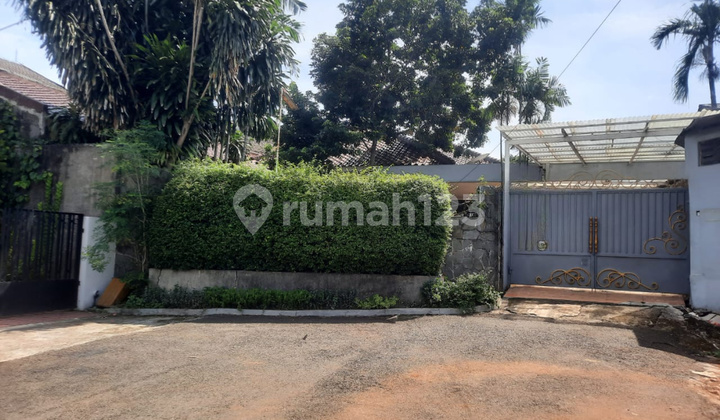 Disewakan Rumah Luas Di Pancoran Jakarta Selatan