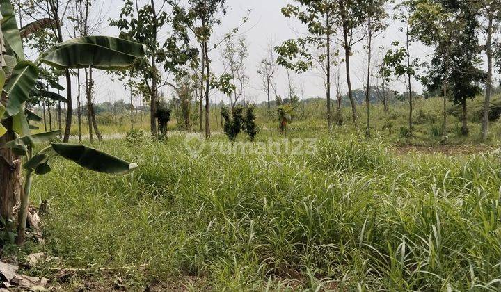 Dijual Lahan Darat Dan Datar Lokasi Bagus Di Gunung Sindur 2