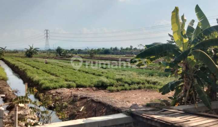 For Sale: Land in the Warehouse Area of East Semarang