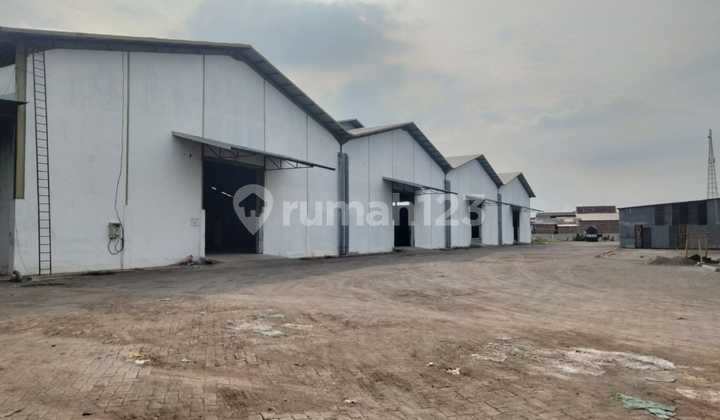 Di Sewakan Gudang Semarang Timur Dekat Pantura 1