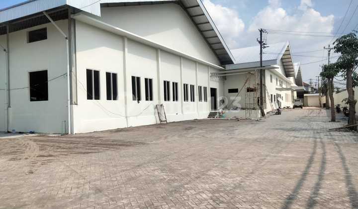 New Warehouse for Rent in Jepara, Central Java