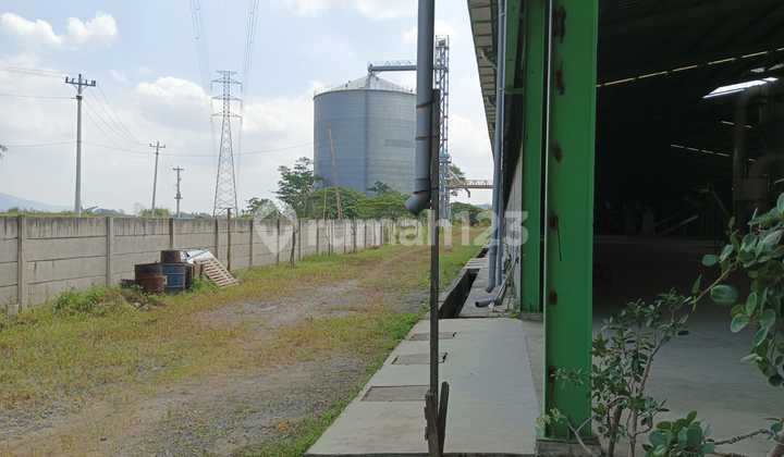 For Sale: Wooden Pallet Factory in Bawen, Semarang Regency For Sale: Wooden Pallet Factory in Bawen, Semarang Regency
