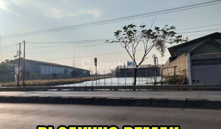 Jual Lahan Tanah Industri Pinggir Pantura Sayung Demak  1