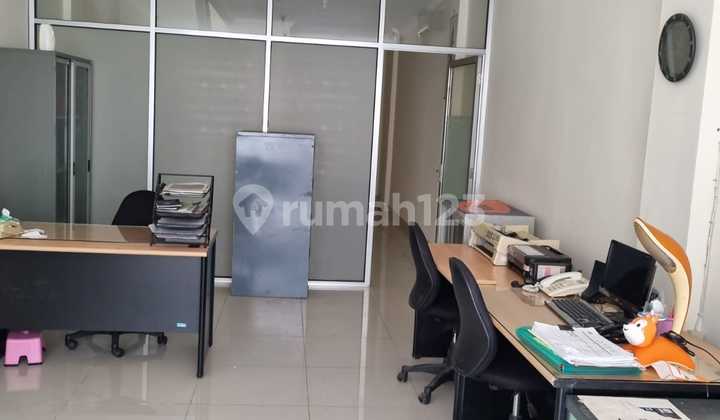 Ruko Palm Crown (Ukuran 4x16 m)