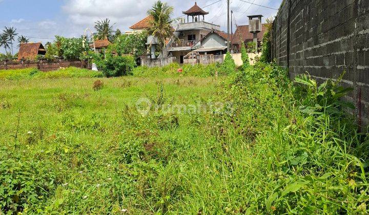 Land for sale 12 Are Munggu Pemaron Badung Bali 1