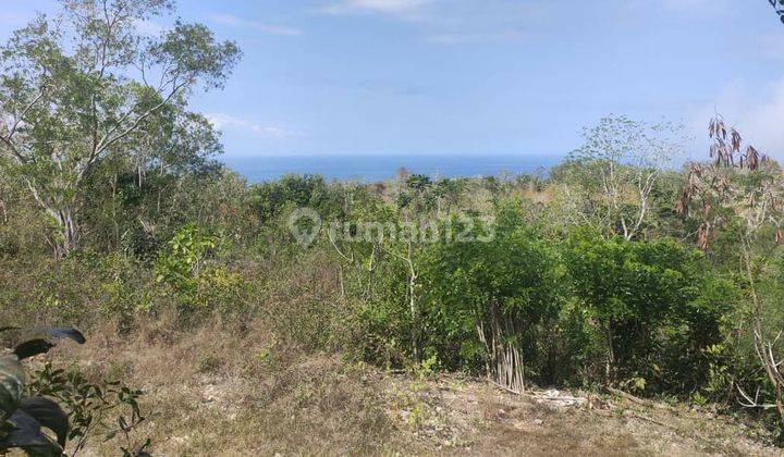 Commercial Land For Rent Pecatu Hill Badung 2