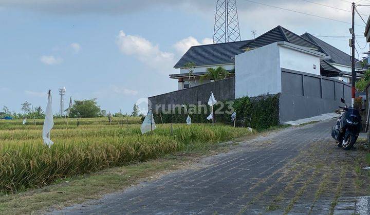 Dijual Tanah 21.7 Are Cice Buduk Badung Bali 1