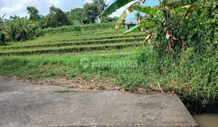 Sudimara terraced land for sale, Tabanan 1