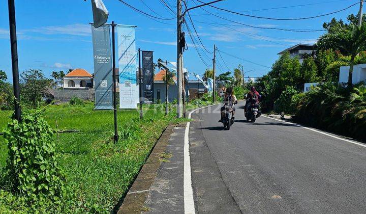 Dijual Tanah Premium Pinggir Jalan Utama Pererenan 2