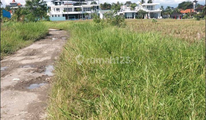 Dijual tanah Babakan  kubu canggu 1