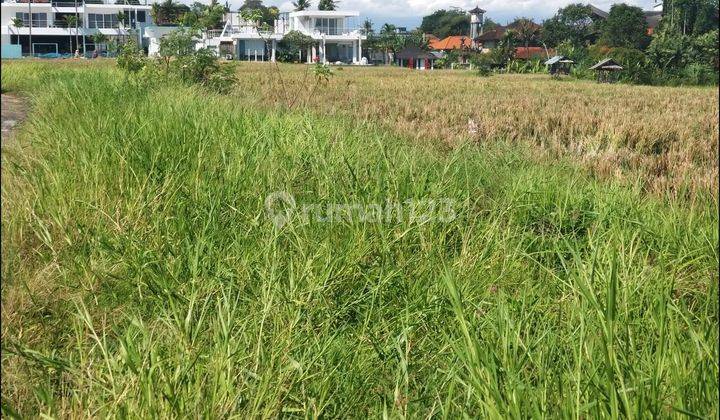 Dijual tanah Babakan  kubu canggu 2