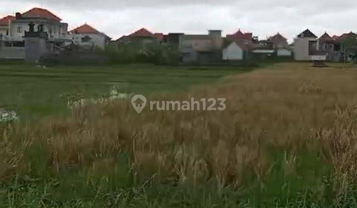 Land for sale on Jalan Terengguli Penatih Denpasar Bali 2