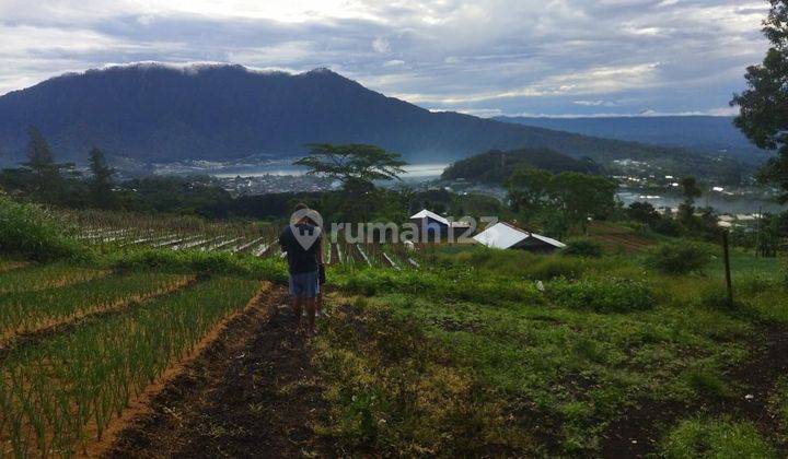 Dijual tanah bukit catu bedugul 2