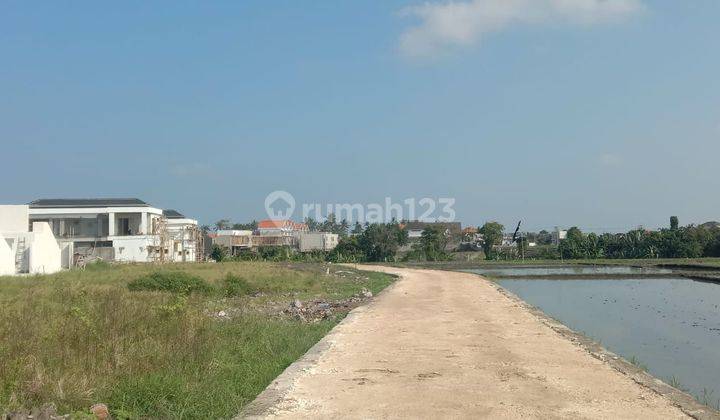 Dikontrakan tanah di jalan pantai seseh 1