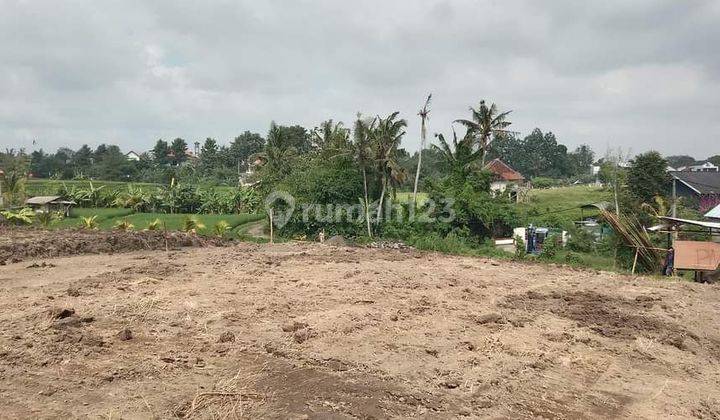 For sale 10 acres of land in Selingsing Badung, Bali 1