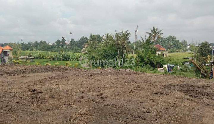 For sale 10 acres of land in Selingsing Badung, Bali 2