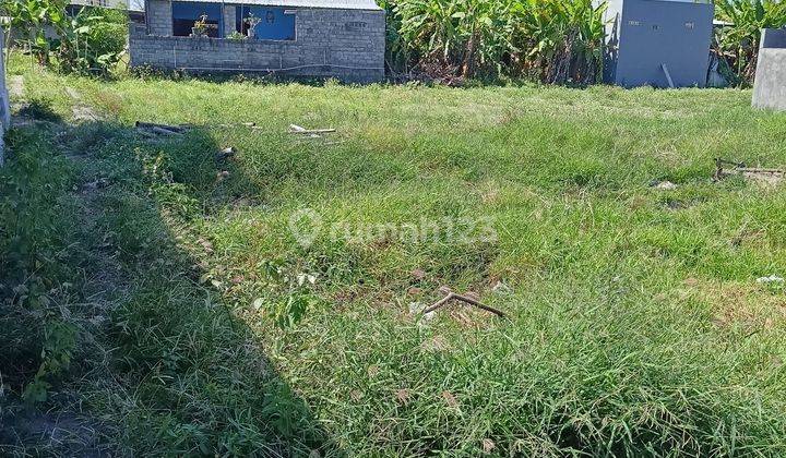 Dijual tanah di buduk view kebun dan sawah 1