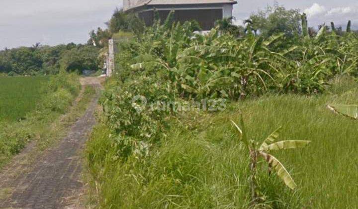 Dijual tanah dekat pantai cemagi bali 2