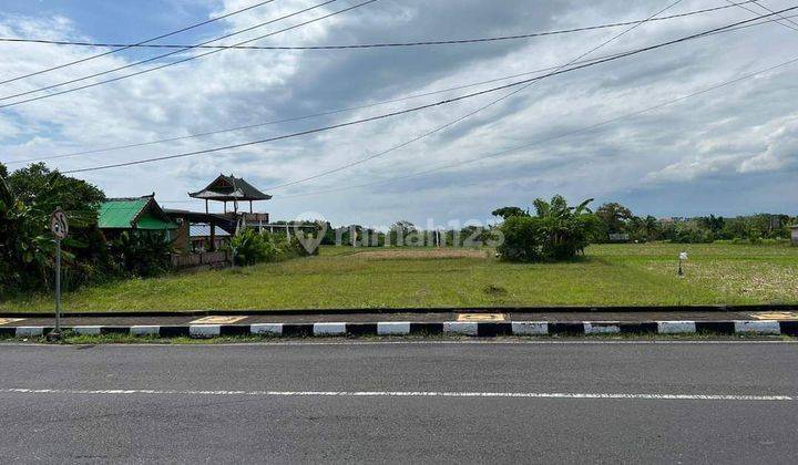 Dijual tanah pinggir jalan tanah lot tabanan bali 2