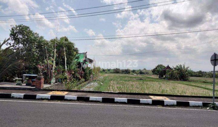 Dijual tanah pinggir jalan tanah lot tabanan bali 1