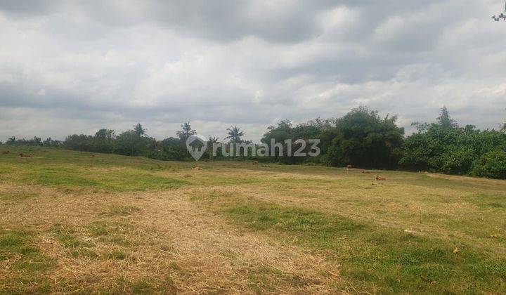 Dijual tanah loss pantai kelating tabanan 2