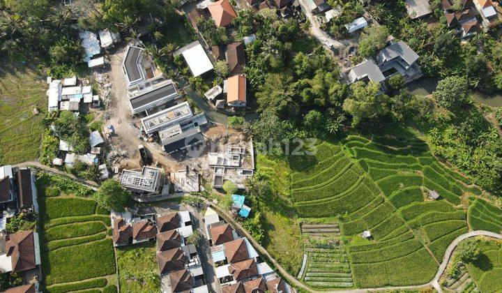 Dijual Tanah View Sawah Dan Loss Sungai 2