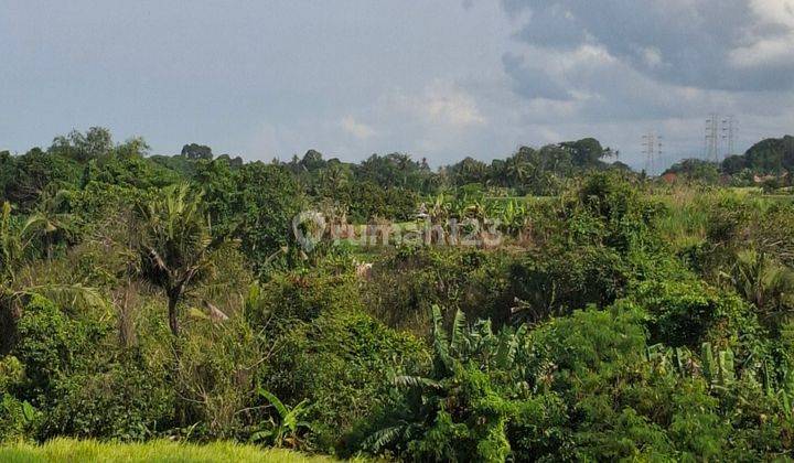 Land for sale in Munggu Pemaron Badung Bali 1