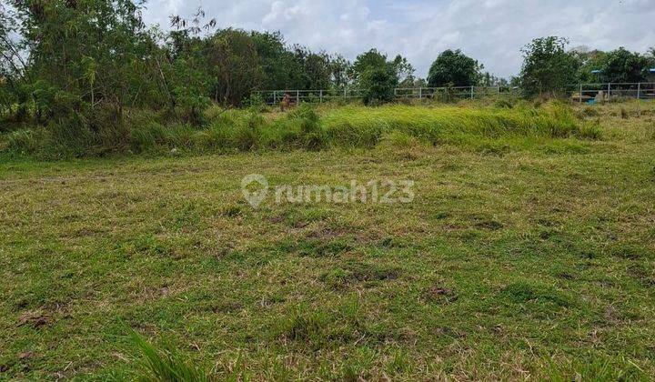 Dijual Tanah Strategis Tumbak Bayuh Mengwi Badung 1