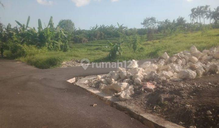 Dijual Tanah 1.2 Hktar Tumbak Bayuh Badung Bali 2