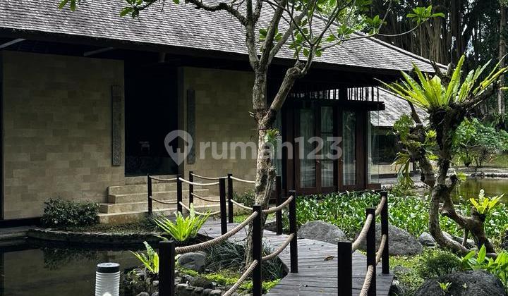 For Sale, Very Comfortable And Quiet Villa In Sayan Ubud - Premium Area Vila di Jl. Raya Sayan No. 1, Sayan, Ubud, Gianyar, Bali, Indonesia, 80571, Ubud SHM