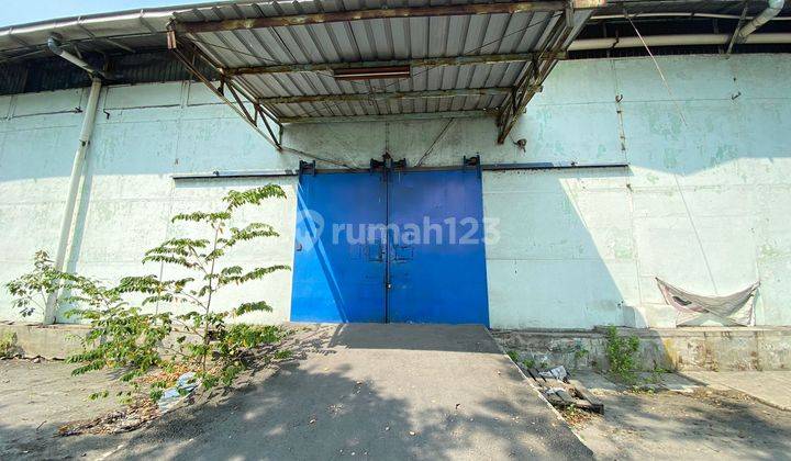 Di Sewakan Gudang Tanjung Priok.jakarta Utara 1