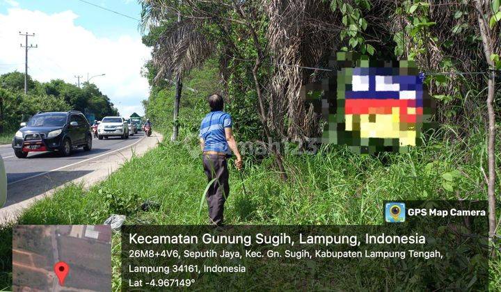Dijual Cepat  tanah Di Gunung Sugih ( Lampung Tengah ) 1