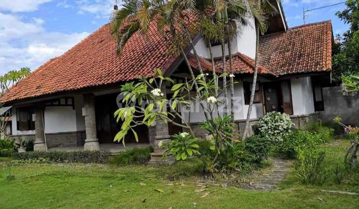 Rumah Klasik 880M2 Halaman Luas Raya Tk Yeh Sungi Renon Jl7mtr Hotmik