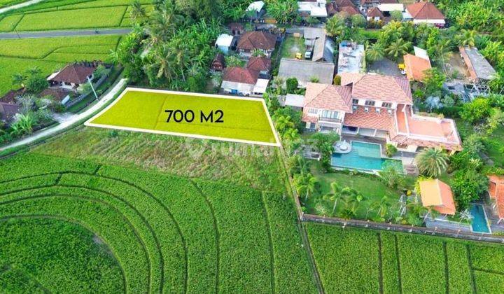 Buc tanah lingk villa 7are view sawah tibubiu pasut tabanan zona yellow jl5mtr 2