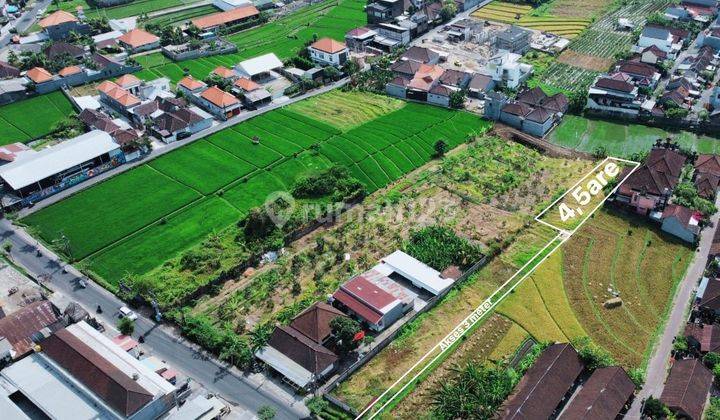 For rent land view rice field 450m2 padonan zona yellow near canggu 1