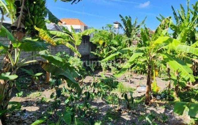 Land for sale hook 3are with foundation in Kerobokan near Bali Kiddy, Seminyak 2