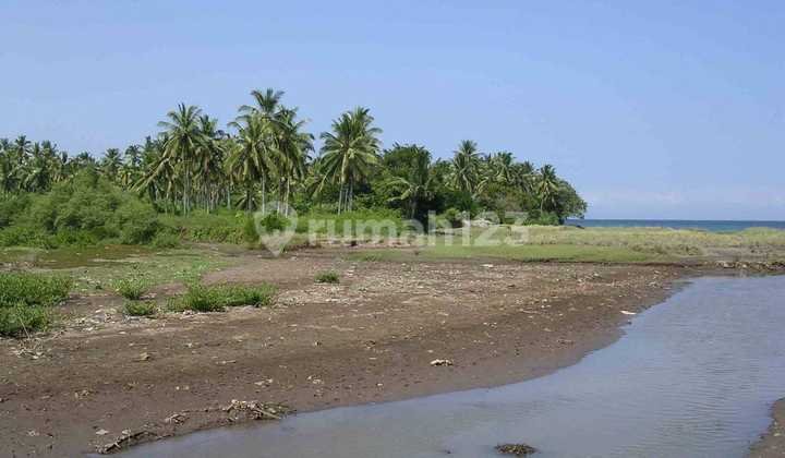 Buc Tanah 12500m2 Kaw Villa,resort Loss Pantai Melaya Jembrana Jl5mtr Buc Tanah 12500m2 Kaw Villa,resort Loss Pantai Melaya Jembrana Jl5mtr