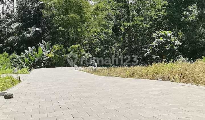 Tanah Cantik Zona Perumahan Beng Gianyar Jl5mtr Paving Tanah Cantik Zona Perumahan Beng Gianyar Jl5mtr Paving