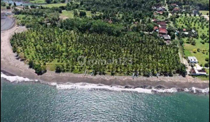 For sale land 25700m2 loss melaya beach jembrana bali 1