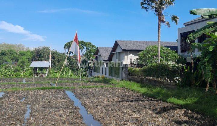 View of rice fields, river, land link villa 220m2, width 18m, Canggu Kayutulang 2