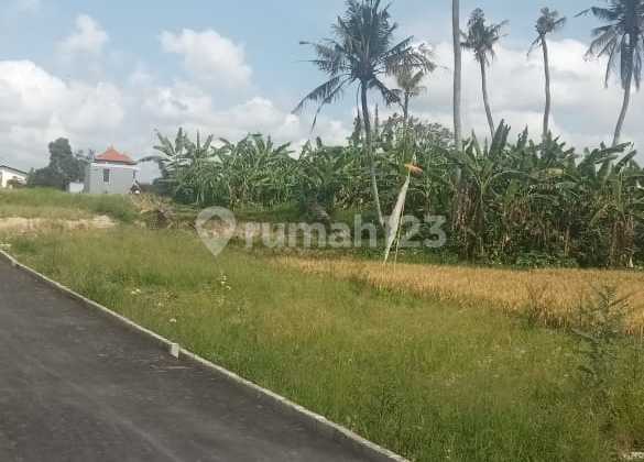 Sale Tanah Strategis 1are Sdh Shm Antasura Peguyangan Dkt Sman8,smpn12