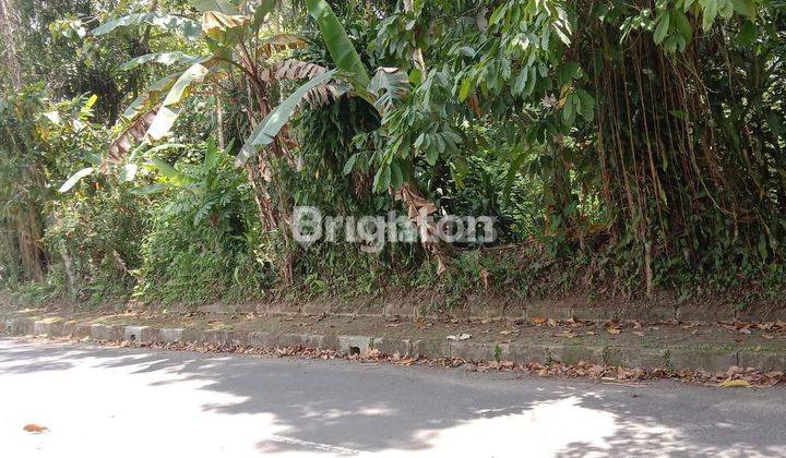 Dijual Cepat Tanah Perkebunan di Daerah Pelaga 1