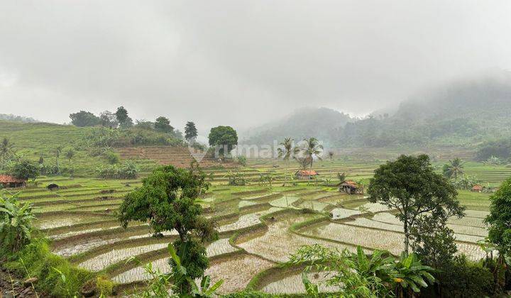 Tanah kavling wisata harga murah di nuansa alam agroeduwisata  2