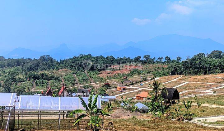 TANAH KAVLING VILLA ESTETIK DAN KEBUN ANGGUR  2